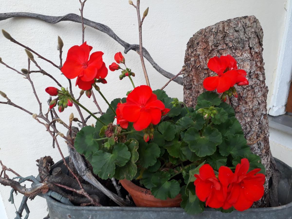 Landgasthof Zum Kirchenwirt 켈베르크 외부 사진